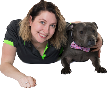 EazyDogTraining.com